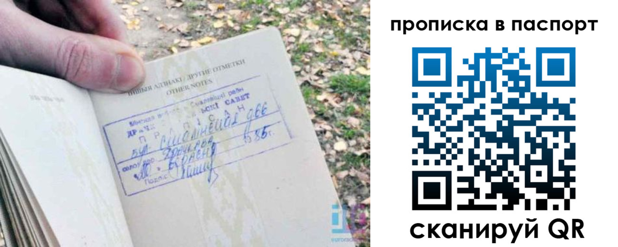 купить прописку в Белой Холунице